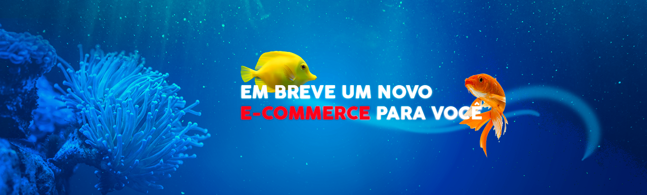Novo site